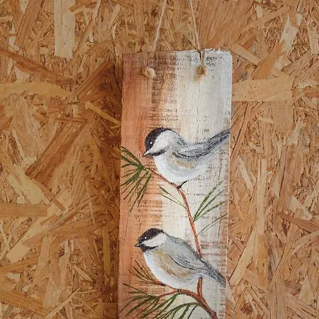 مكان تخييم Deep Ocean Camping-adults Only *