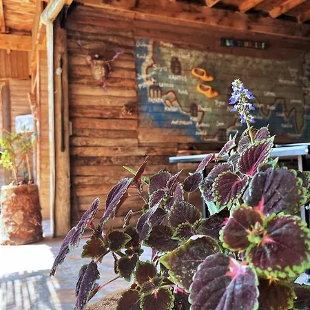 مكان تخييم Deep Ocean Camping-adults Only